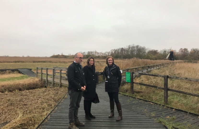 wicken fen